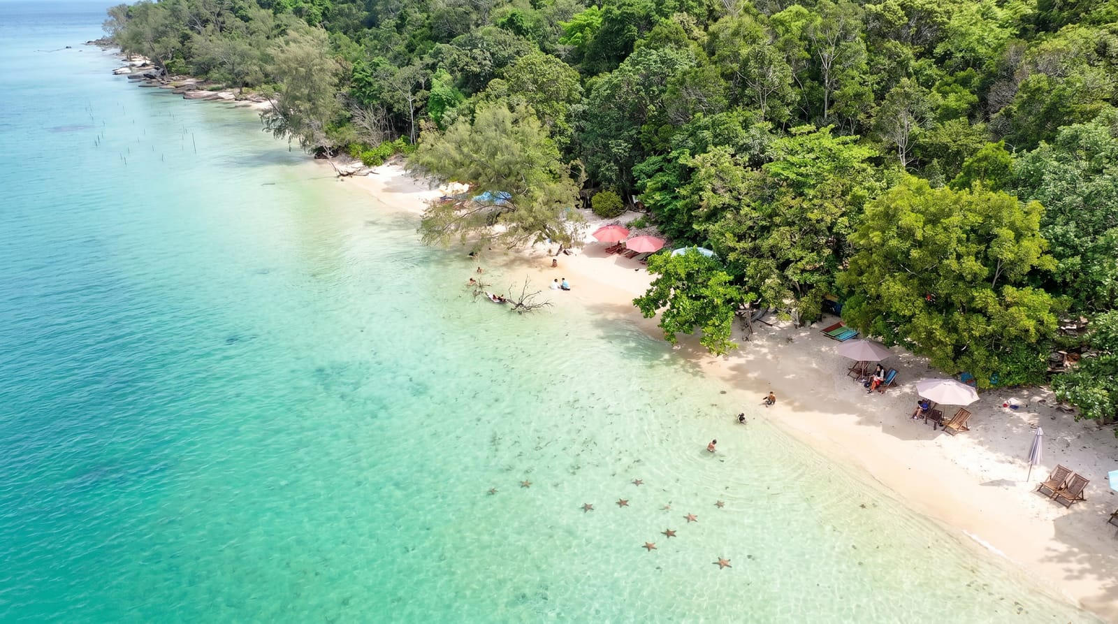 Ham Rong cape’s white-sand beach right beside the forest, seen by drone