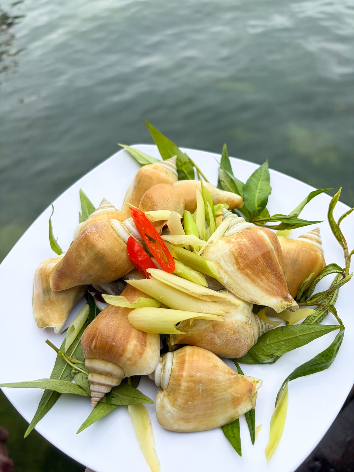 Khung cảnh bổ sung cho bài viết